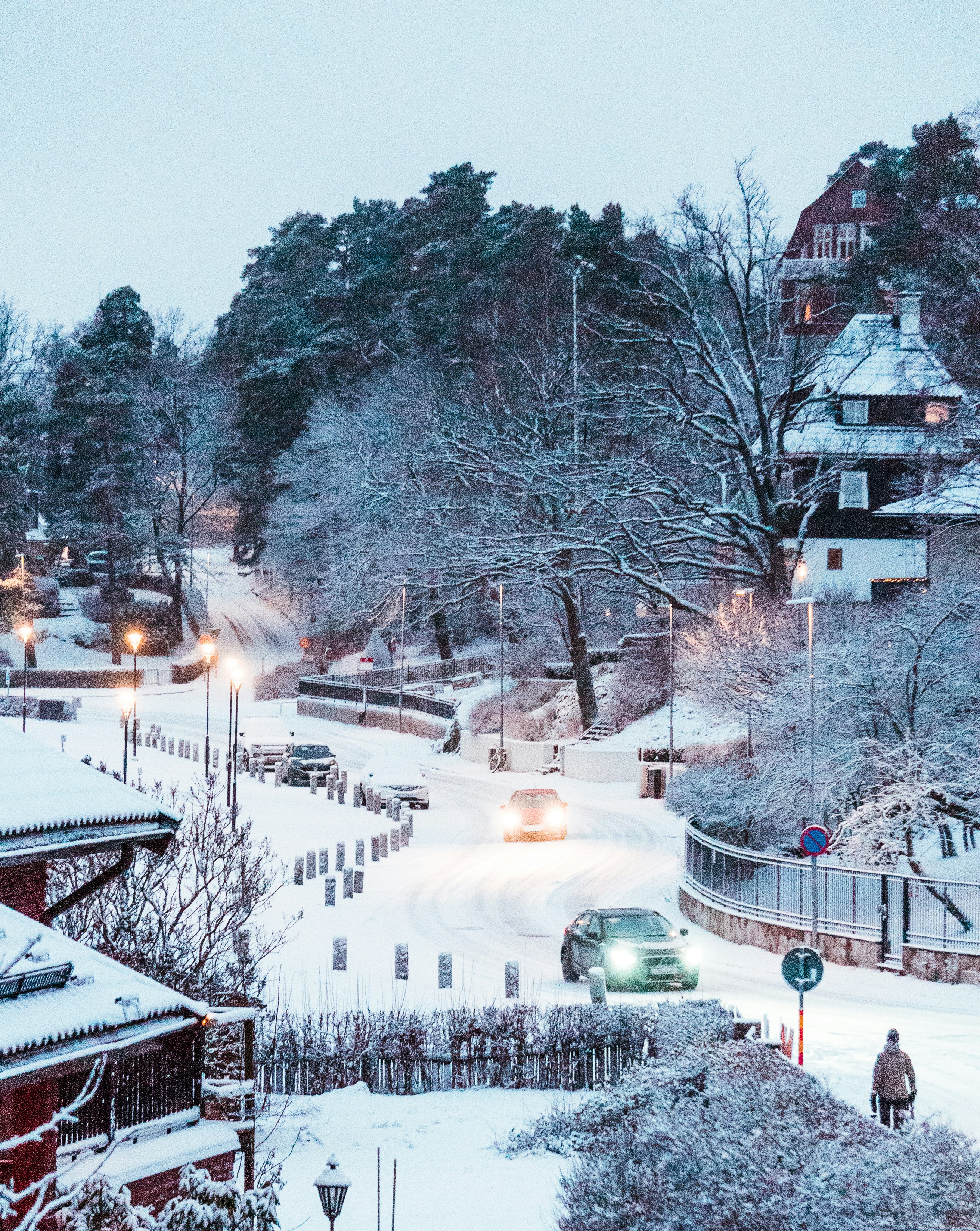A Nordic Winter photo 4