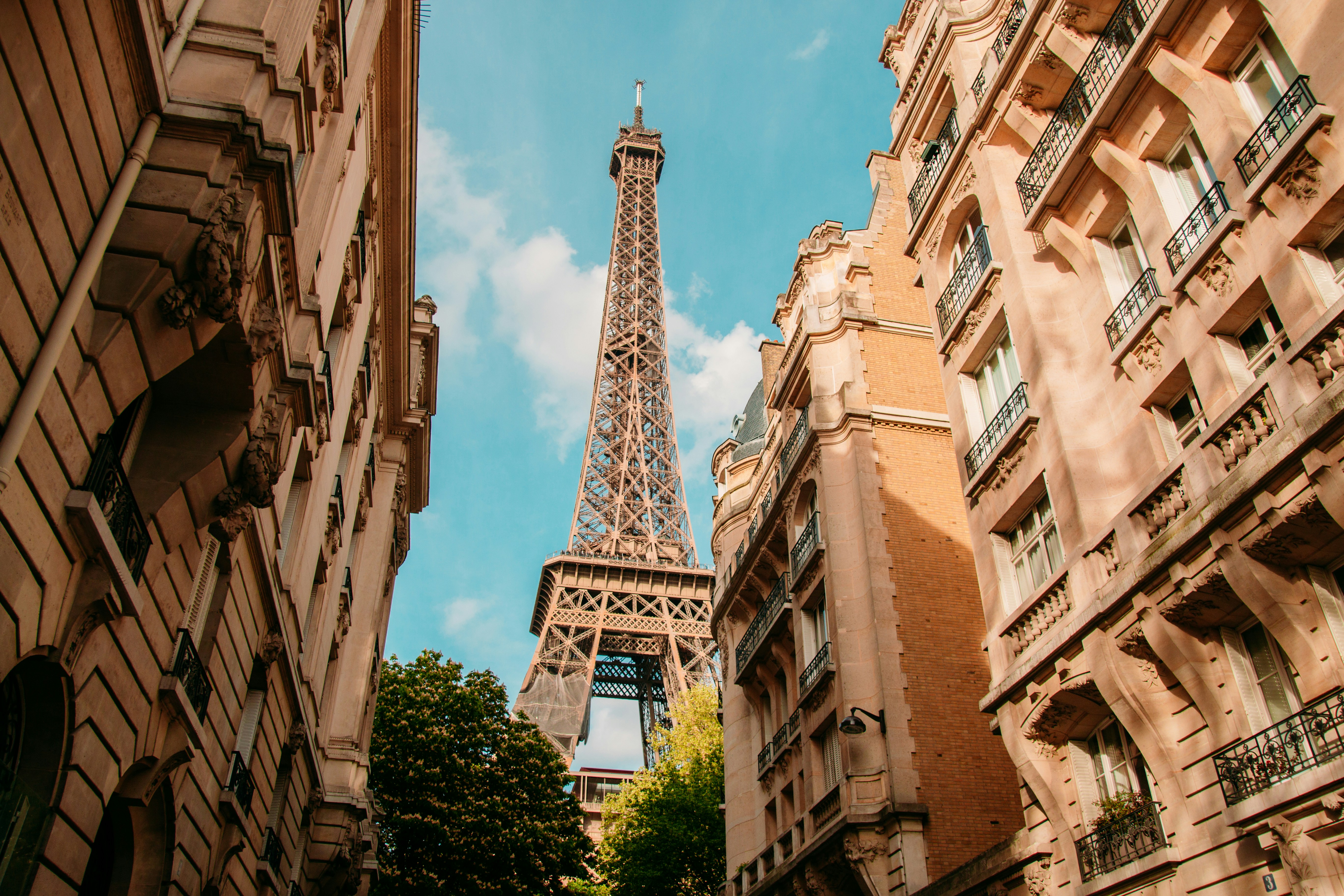 Timeless Paris photo 3